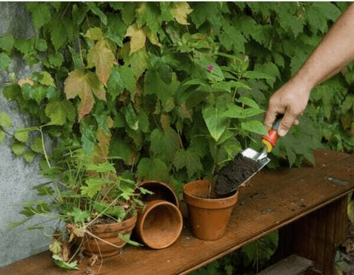Pièces agricoles - Cloture,Jardin & Sylviculture - Pelle de jardin manuelle