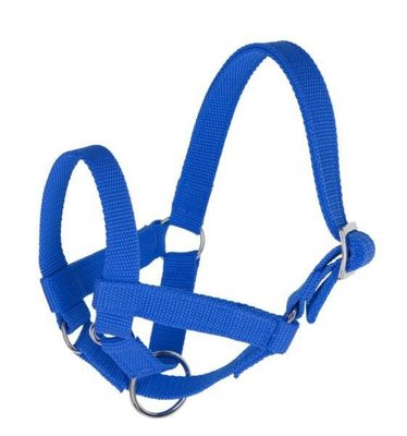 Pièces agricoles - Cloture,Jardin & Sylviculture - Licol Lama taille 50 bleu