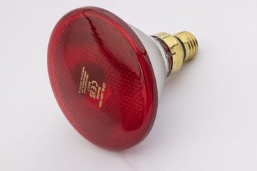 Pièces agricoles - Cloture,Jardin & Sylviculture - Lampe infrarouge 100W rouge, Econ