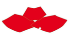 Fonds de plaque BLACKBIRD rouge Beta RR
