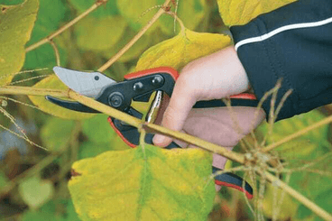 Pièces agricoles - Cloture,Jardin & Sylviculture - Sécateur Felco Essentiel 160S