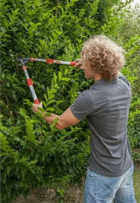 Pièces agricoles - Cloture,Jardin & Sylviculture - Elagueur téléscopique coupe franche
