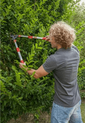 Pièces agricoles - Cloture,Jardin & Sylviculture - Elagueur téléscopique coupe franche