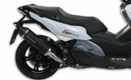 Silencieux MALOSSI Wild Lion - Metal Magic Carbon Aprilia SRV 850