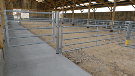 Materiels - Cage de contention - PACK DE 12 AVANTS PANNEAU EX5 L.1.65M