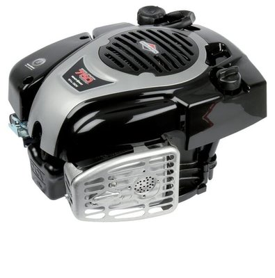 Pièces agricoles - Moteurs pièce origine - Moteur, vertical, 5,4 CV, série 675 Exi, Briggs &amp; Stratton