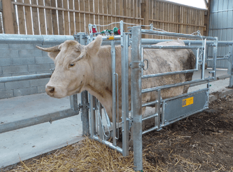 Materiels - Matériel d'élevage - autre - CORNADIS INSEMINATION AUTOMATIQUE SEUL