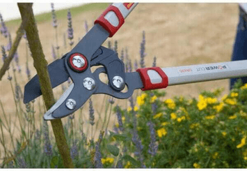 Pièces agricoles - Cloture,Jardin & Sylviculture - Elagueur coupe mixte 40mm
