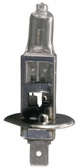 Pièces agricoles - Eclairage - Ampoule 12V x 55W, H1 (1)