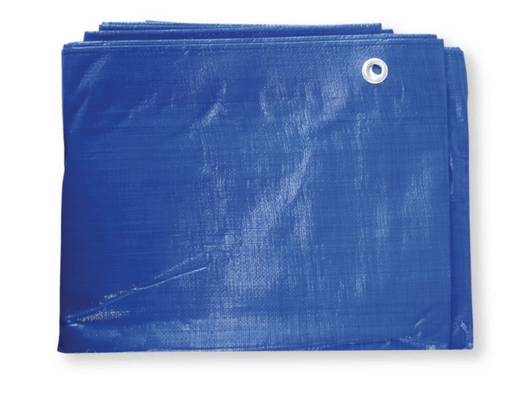 Equipement d'atelier - Equipement d'atelier divers - BACHE BLEUE 6X 8M