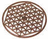 Grille pour tête
