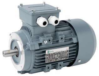 Pièces agricoles - Cloture,Jardin & Sylviculture - Moteur électrique 0,75 kW