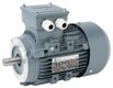 Moteur électrique 0,75 kW