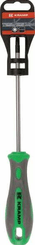 Outils - Outils divers - Tournevis Torx T25 x 125 mm