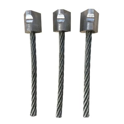 Pièces agricoles - Jardin et forêt pièce adaptable - Jeu de brosses de rechange de 10 mm, Armigo 2,Multiple, 6x