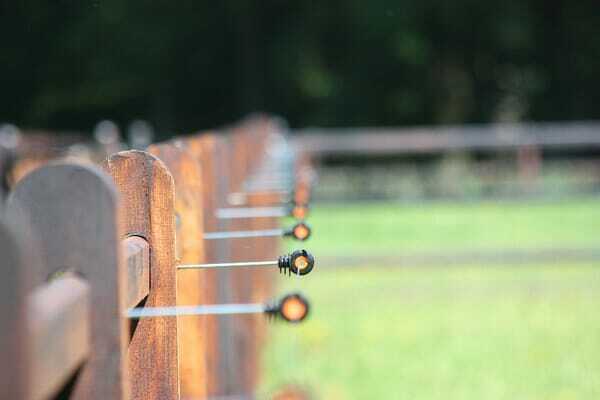 Pièces agricoles - Cloture,Jardin & Sylviculture - Isolateur à distance XDI (10)