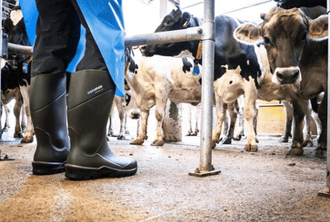 Vêtements et protections - Equipement - Bottes NoraMax Agri O4 38
