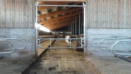 Materiels - Accessoires 200Kg-300Kg - SEPARATION DE LOGETTE RELEVABLE II EN 3.44M/4.60M
