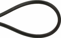 Courroie trapézoïdale double