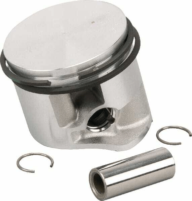 Pièces agricoles - Jardin et forêt pièce origine - Piston