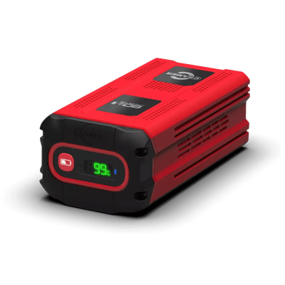 Accessoires et options matériel  - Tondeuse poussée et tractée - Batterie 8 AH (BATTERIE 8 AH)