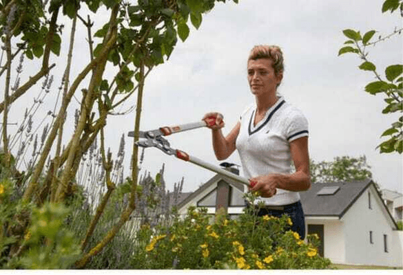 Pièces agricoles - Cloture,Jardin & Sylviculture - Elagueur coupe mixte 40mm