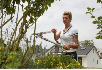 Pièces agricoles - Cloture,Jardin & Sylviculture - Elagueur coupe mixte 40mm