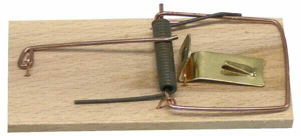 Pièces agricoles - Cloture,Jardin & Sylviculture - Tapette à souris en bois