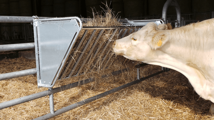 Materiels - Râtelier - PACK DE 6 RATELIERS MODULABLE VACHE L.2M