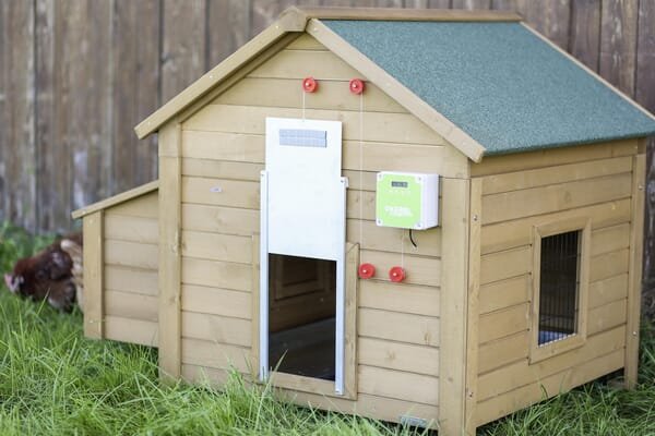 Pièces agricoles - Cloture,Jardin & Sylviculture - Auto Porte pour volaille w. Porte coulissante 300x400 mm