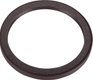 Oil seal