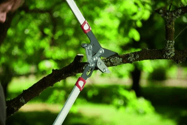 Pièces agricoles - Cloture,Jardin & Sylviculture - Elagueur coupe enclume 50mm