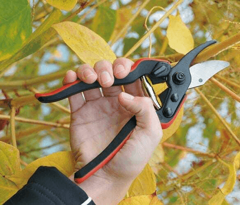 Pièces agricoles - Cloture,Jardin & Sylviculture - Sécateur Felco Essentiel 160L
