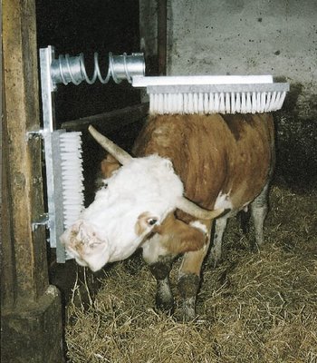 Pièces agricoles - Cloture,Jardin & Sylviculture - Brosse pour bétail EuroFarm