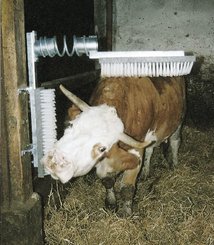 Pièces agricoles - Cloture,Jardin & Sylviculture - Brosse pour bétail EuroFarm