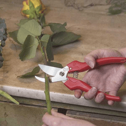 Pièces agricoles - Cloture,Jardin & Sylviculture - Sécateur Felco 300