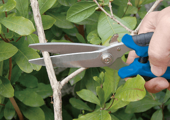 Outils - Outils divers - Ciseaux multi-usages