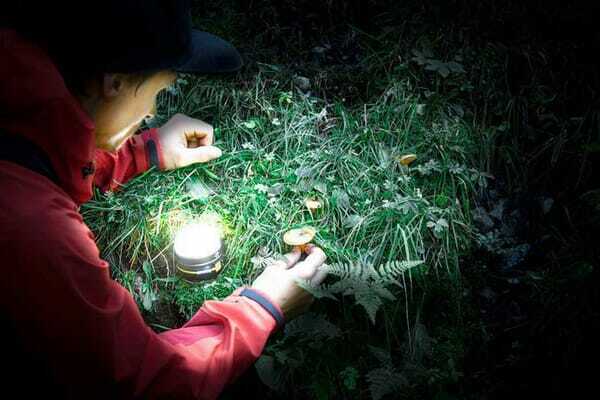 Pièces agricoles - Outils atelier - Lampe d’extérieur à LED OLI 0300 A