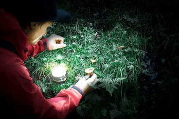 Pièces agricoles - Outils atelier - Lampe d’extérieur à LED OLI 0300 A
