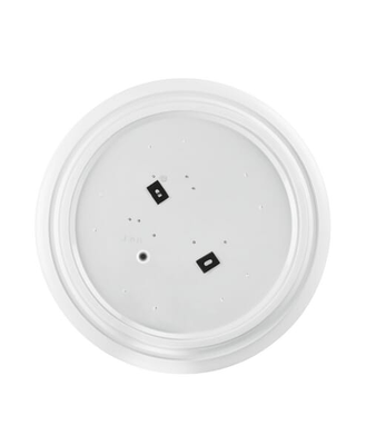 Pièces agricoles - Electricité - Luminaire circulaire 250 13 W 840