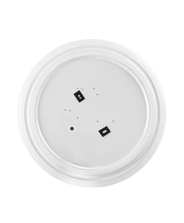 Pièces agricoles - Electricité - Luminaire circulaire 250 13 W 840