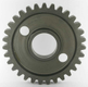 Pignon 31D Maschio
