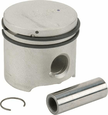 Pièces agricoles - Jardin et forêt pièce origine - Piston