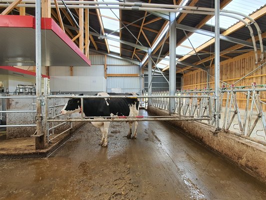 Materiels - Accessoires 200Kg-300Kg - SEPARATION DE LOGETTE RELEVABLE II EN 3.44M/4.60M