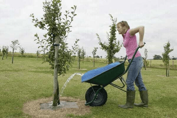 Pièces agricoles - Cloture,Jardin & Sylviculture - Réservoir d'eau pour brouette 80L