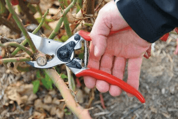 Pièces agricoles - Cloture,Jardin & Sylviculture - Sécateur Felco no. 11