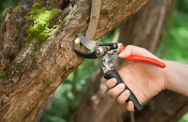 Pièces agricoles - Cloture,Jardin & Sylviculture - Sécateur