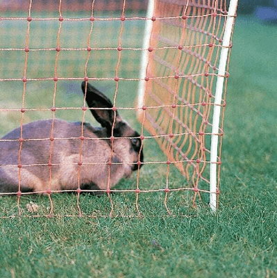 Pièces agricoles - Cloture,Jardin & Sylviculture - Filet à lapins, pointe simple, 65 cm