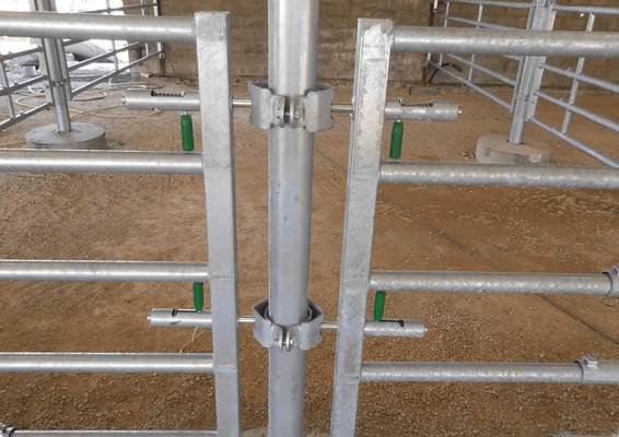 Materiels - Cage de contention - PACK DE 12 AVANTS DE PORTE AUTOLOCK EX5 L.1.65M
