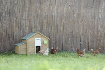 Pièces agricoles - Cloture,Jardin & Sylviculture - Auto Porte pour volaille w. Porte coulissante 300x400 mm